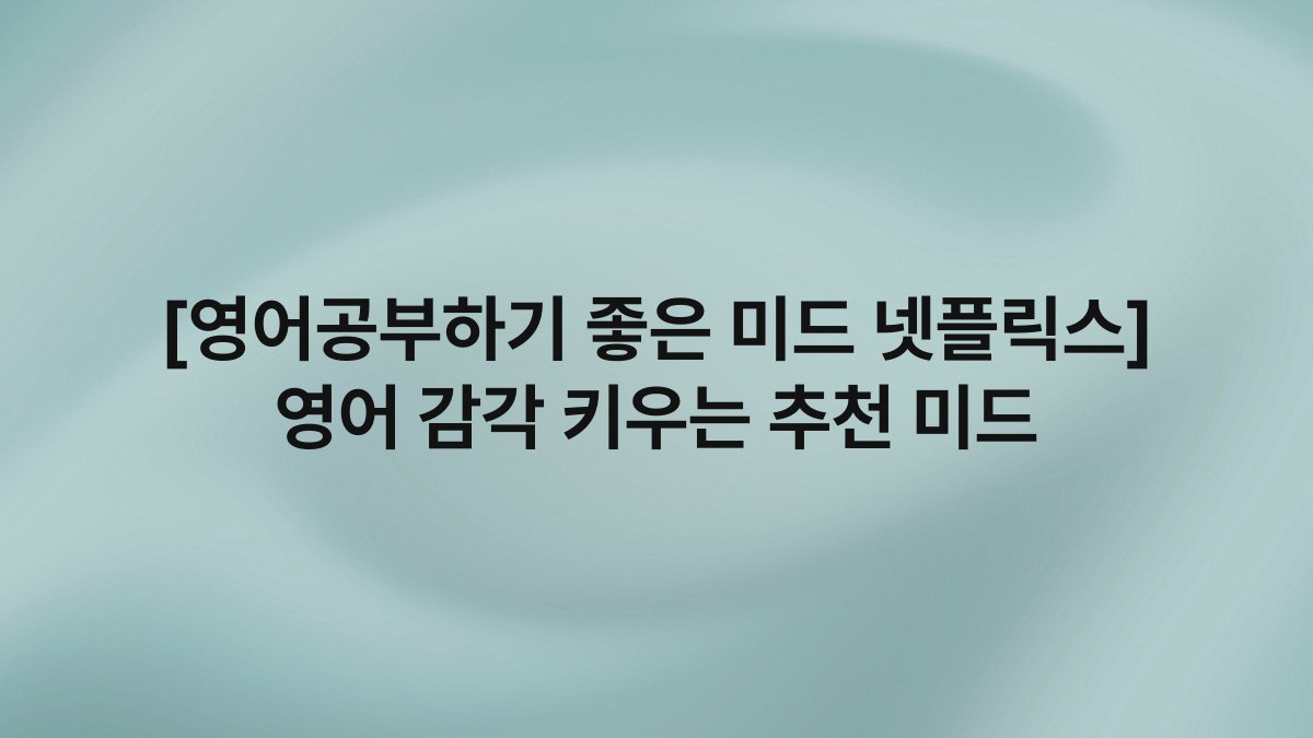 [영어공부하기 좋은 미드 넷플릭스] 영어 감각 키우는 추천 미드