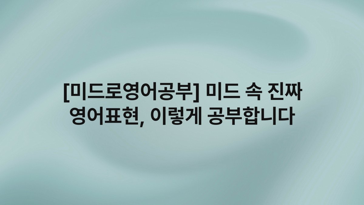 [미드로영어공부] 미드 속 진짜 영어표현, 이렇게 공부합니다