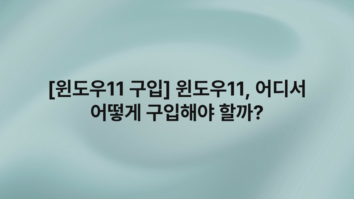 [윈도우11 구입] 윈도우11, 어디서 어떻게 구입해야 할까?