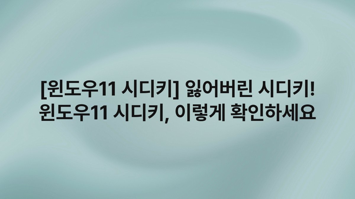 [윈도우11 시디키] 잃어버린 시디키! 윈도우11 시디키, 이렇게 확인하세요