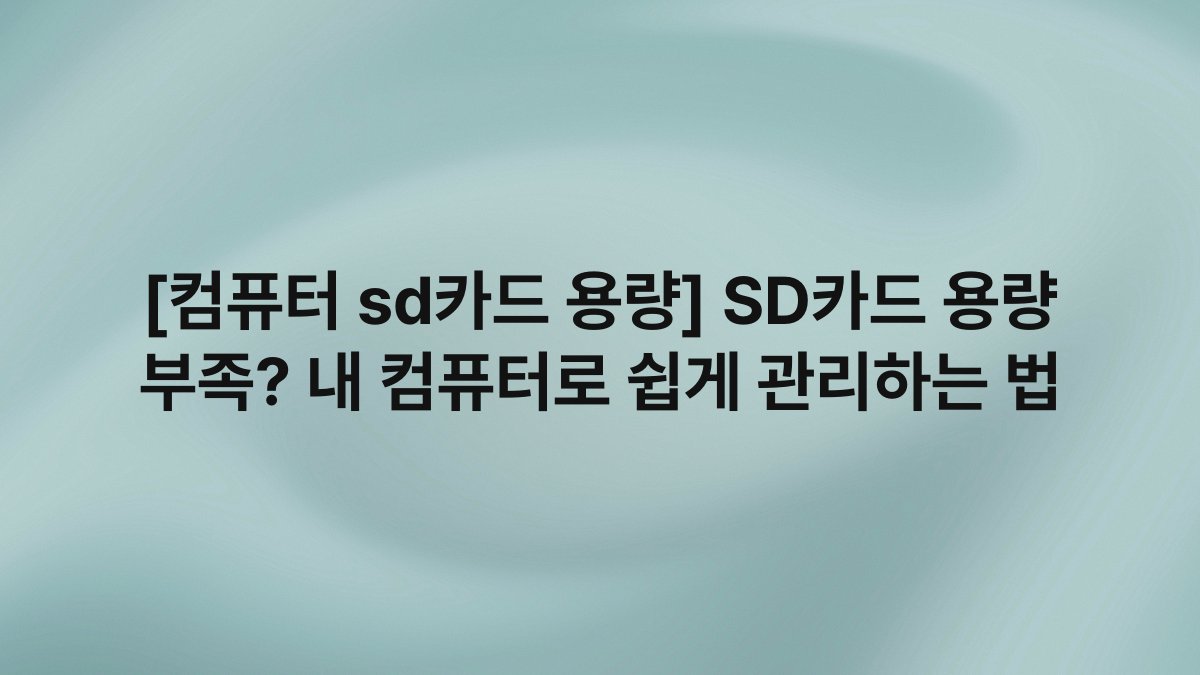[컴퓨터 sd카드 용량] SD카드 용량 부족? 내 컴퓨터로 쉽게 관리하는 법